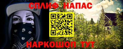 ПСИЛОЦИБИНОВЫЕ ГРИБЫ Вязьма