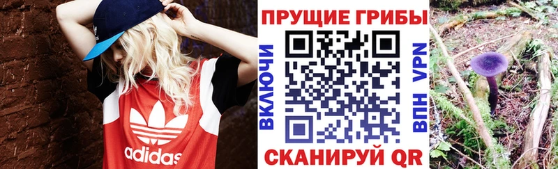 Псилоцибиновые грибы Magic Shrooms  blacksprut как войти  Курган 